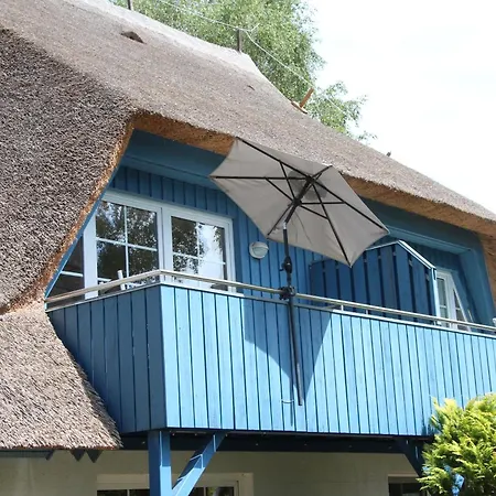 Seeschwalbe