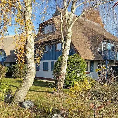 Seeschwalbe *