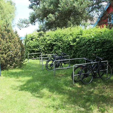 Seeschwalbe *